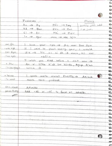 Notebook page of possessives, plurals and English sentences translated into Merla