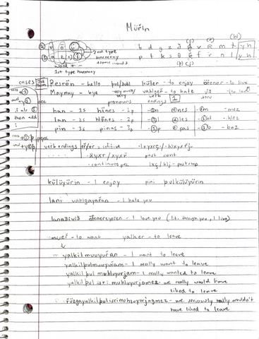 Notebook page titled Mürin with vowel harmony notes, pronouns, verb endings and sentences