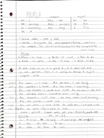 Notebook page titled MERLA with pronouns, word order notes, verb conjugations and articles