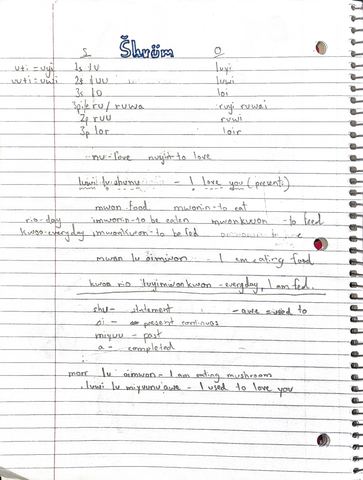 Notebook page titled Šhrüm with subject and object pronouns and example sentences